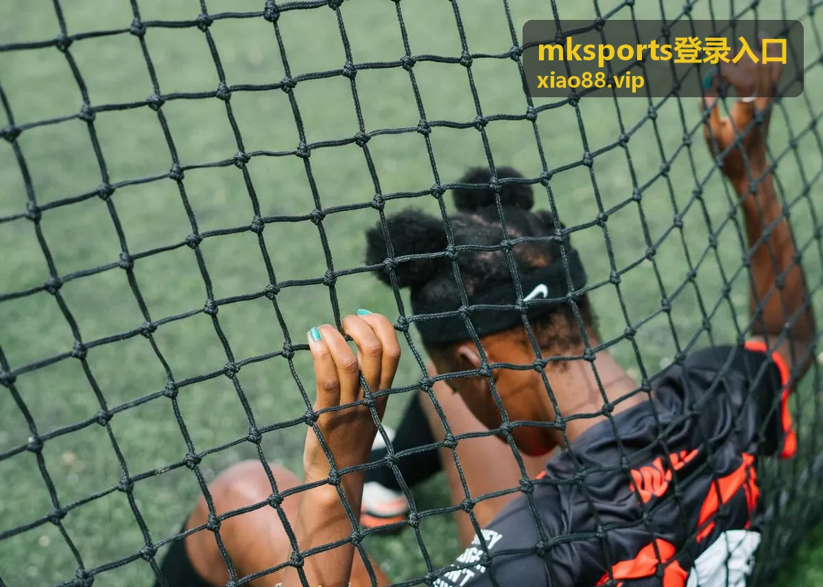 mksports登录入口提示文字与操作步骤对照说明